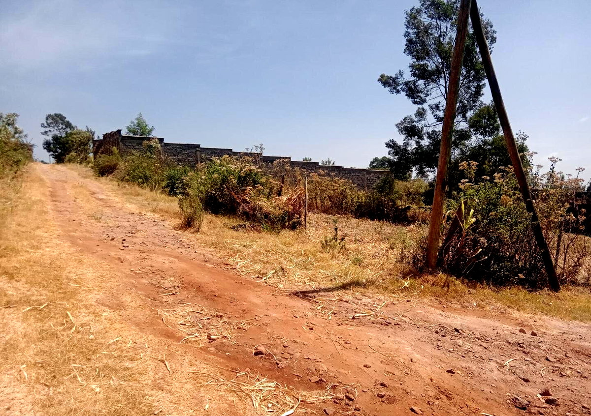 1/8 Acre Garden Plot at KSh 2M