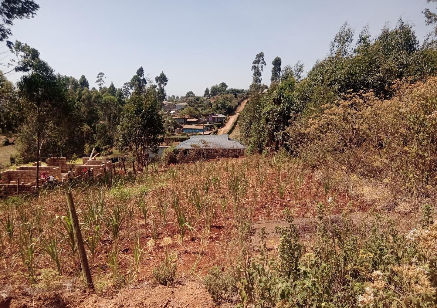 1/8 Acre Garden Plot at KSh 2M