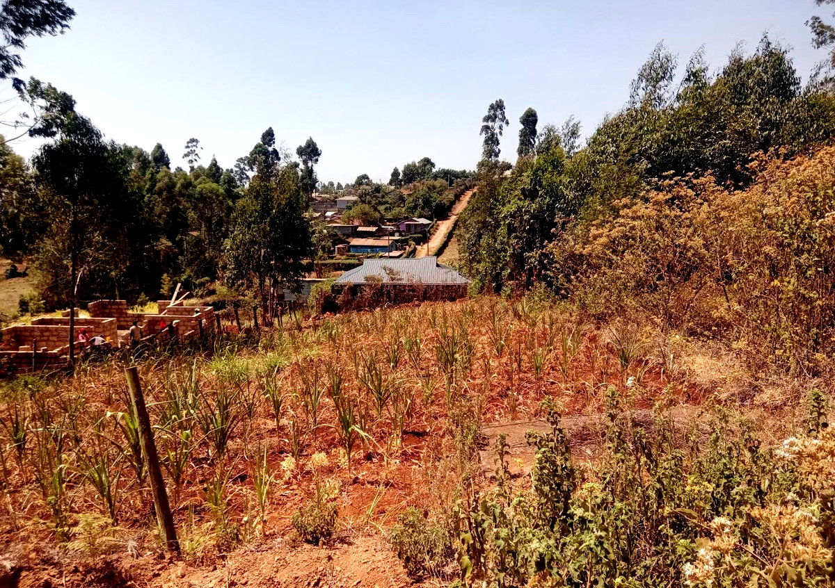 1/8 Acre Garden Plot at KSh 2M