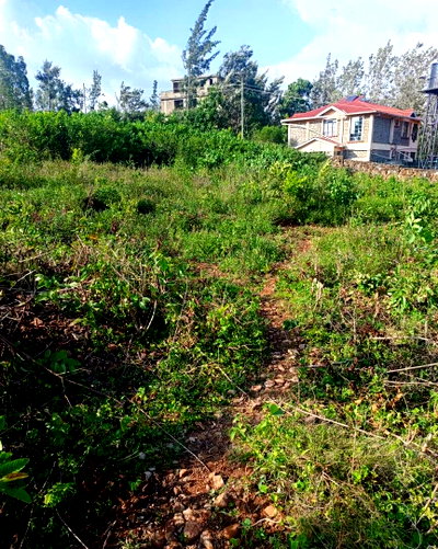2-Acre Kisumu West Plot for KSh 13M