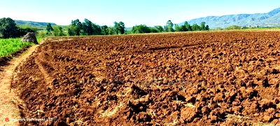 11 Acres at 1.3M Per Has Title Deed in Lower Subukia Limuru. - Image 8