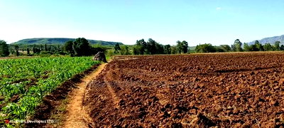 11 Acres at 1.3M Per Has Title Deed in Lower Subukia Limuru. - Image 7