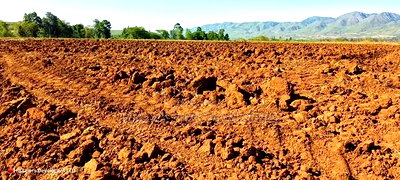 11 Acres at 1.3M Per Has Title Deed in Lower Subukia Limuru. - Image 2