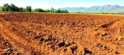 11 Acres at 1.3M Per Has Title Deed in Lower Subukia Limuru. - Image 5