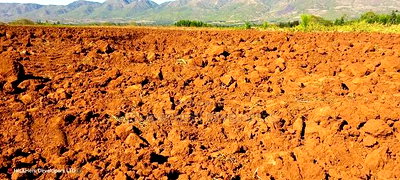 11 Acres at 1.3M Per Has Title Deed in Lower Subukia Limuru. - Image 3