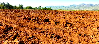 11 Acres at 1.3M Per Has Title Deed in Lower Subukia Limuru. - Image 4