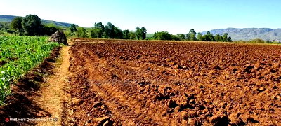 11 Acres at 1.3M Per Has Title Deed in Lower Subukia Limuru. - Image 1