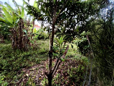 Eighth Acre Plot in Ngong at Merisho Matasia Near the Tarmac - Image 4
