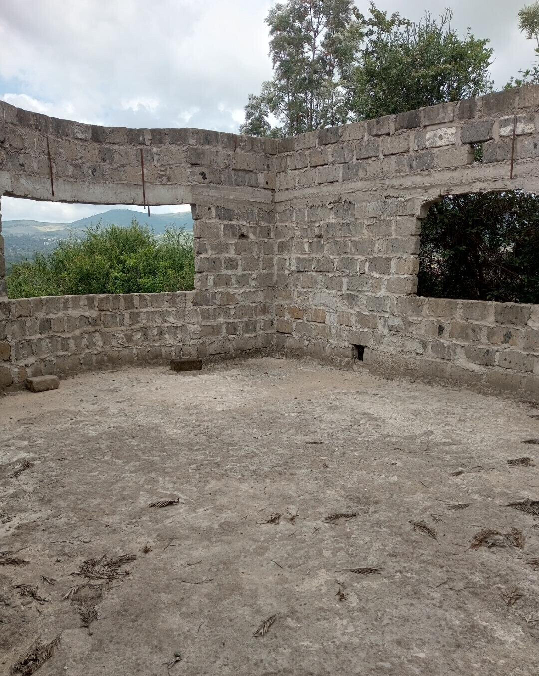 1/8 Acre Plot with Unfinished Mansion