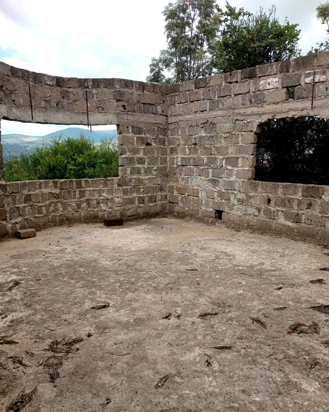 1/8 Acre Plot with Unfinished Mansion