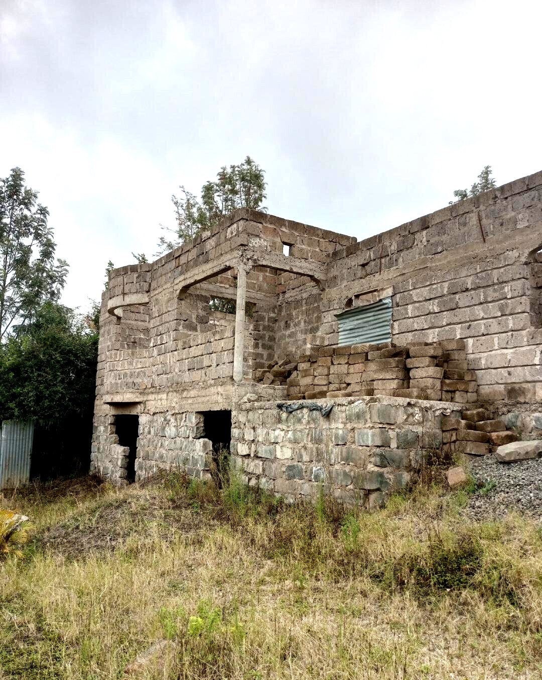 1/8 Acre Plot with Unfinished Mansion