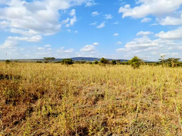 5acres Mombasa Rd, Maanzoni