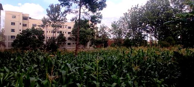 3/4 Acre Commercial Plot for Sale at Thindigua - Image 1