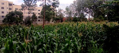 3/4 Acre Commercial Plot for Sale at Thindigua - Image 5