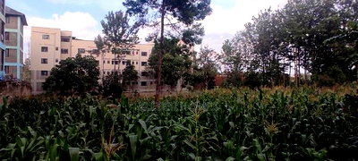 3/4 Acre Commercial Plot for Sale at Thindigua - Image 8