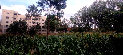 3/4 Acre Commercial Plot for Sale at Thindigua - Image 2