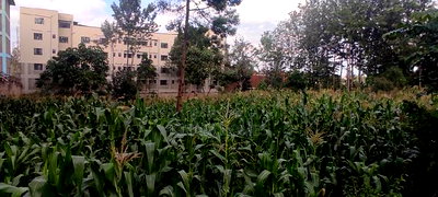 3/4 Acre Commercial Plot for Sale at Thindigua - Image 3