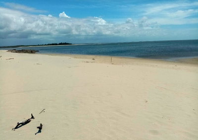 8-Acre Beachfront Land with Parking - Malindi