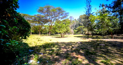 1.5-Acre Karen Land at KSh 200M