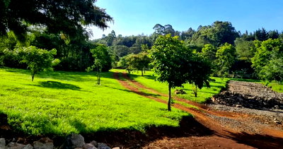 Quarter Acre in Gated Community