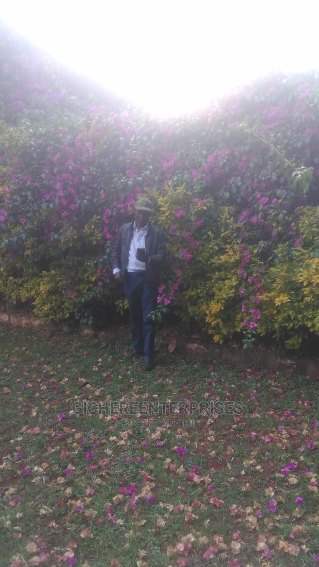 Commercial Property for Lease