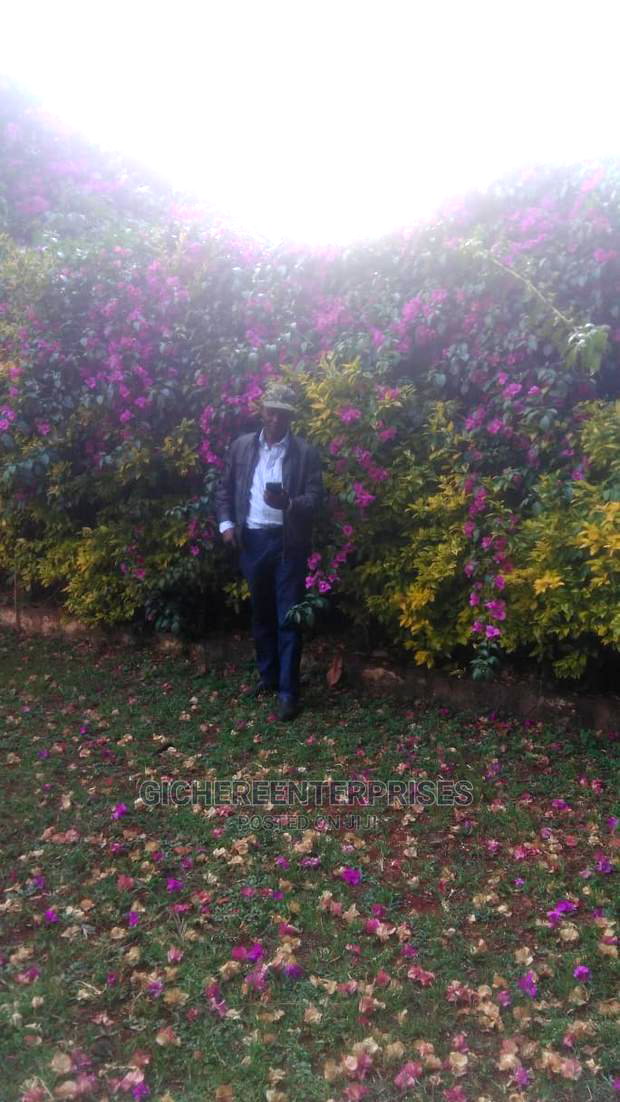 Commercial Property for Lease