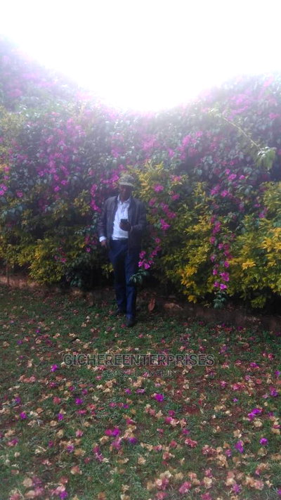 Commercial Property for Lease - Image 4