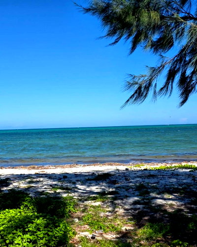 12-Acre Beachfront Land for KSh 420M