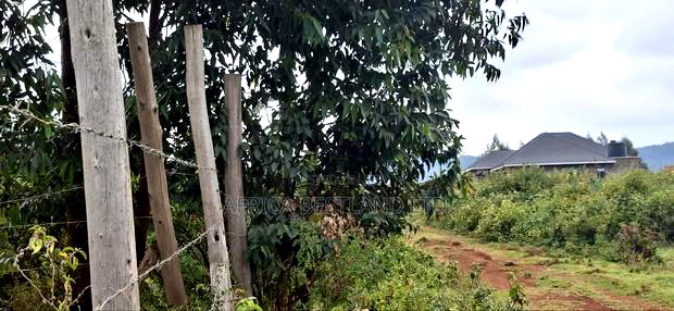 50x100 Available Plot for Sale in Kikuyu Thigio