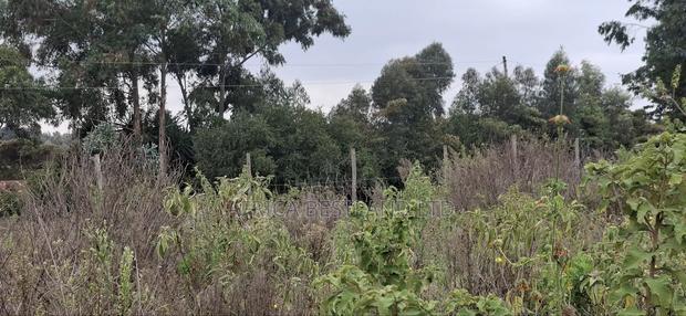 50x100 Available Plot for Sale in Kikuyu Thigio