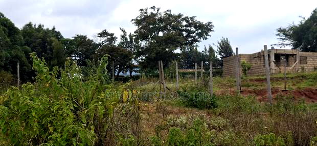 50x100 Available Plot for Sale in Kikuyu Thigio