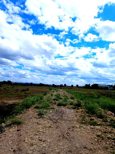 50x100 Plots in Kitengela Saitoti Area for Sale - Image 4
