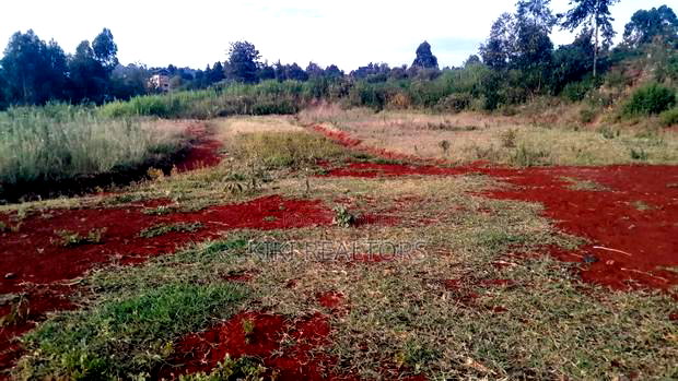 Kikuyu Nderi Plots for Sale