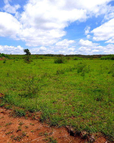 178-Acre Garden Land with Parking - Makuyu