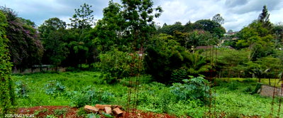 9-Acre Land in Thigiri, Westlands