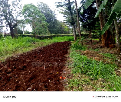 Land for Sale - Image 2