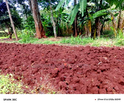 Land for Sale - Image 5