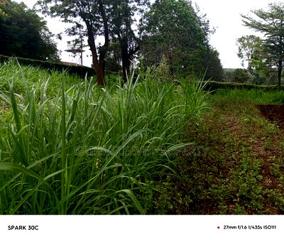 Land for Sale - Image 4