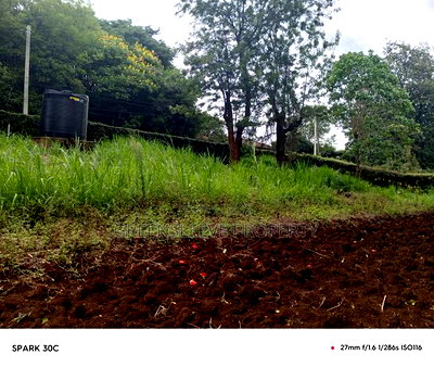 Land for Sale - Image 1