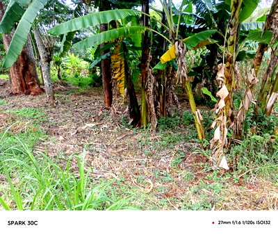 Land for Sale - Image 3