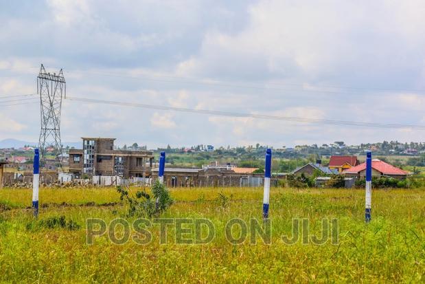 Malaa Scenic Plots