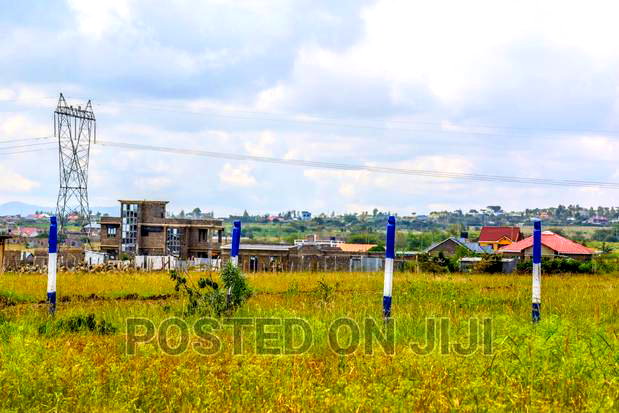 Malaa Scenic Plots
