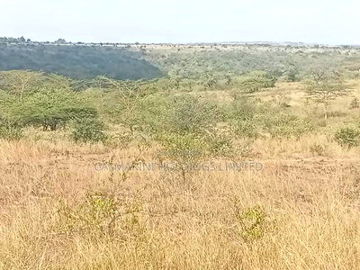 Prime 5 Acres for Sale in Each - Image 2