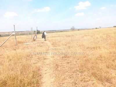 Prime 5 Acres for Sale in Each - Image 1