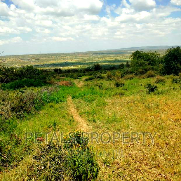Prime 20 Acres for Sale in Kimuka,Ngong