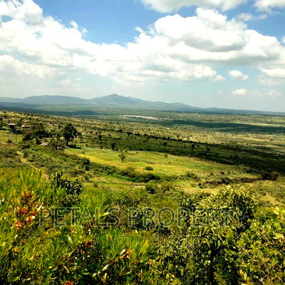 Prime 20 Acres for Sale in Kimuka,Ngong - Image 3