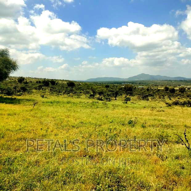 Prime 20 Acres for Sale in Kimuka,Ngong