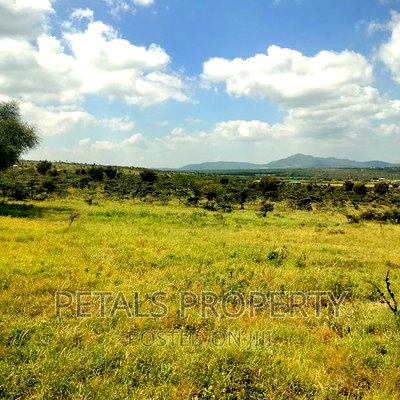 Prime 20 Acres for Sale in Kimuka,Ngong - Image 4