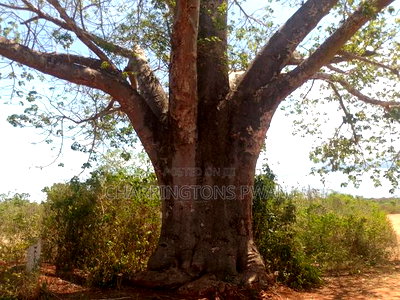 Prime 1-Acre Corner Plot - Galu Environs | Kshs. 7.5m - Image 3