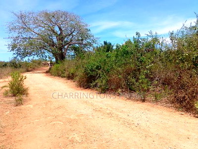 Prime 1-Acre Corner Plot - Galu Environs | Kshs. 7.5m - Image 4